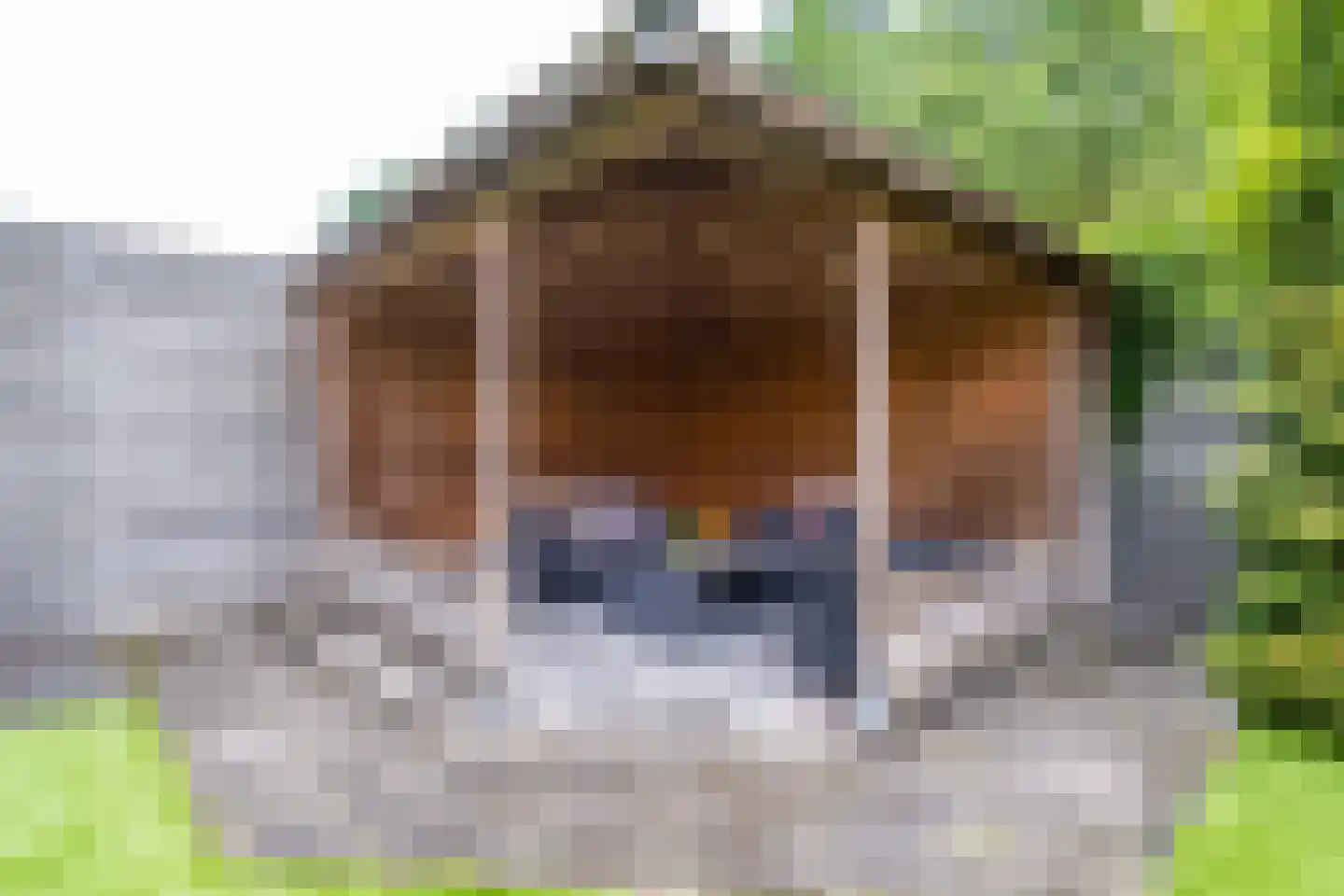 Molenweg 1 Elst Ut thumbnail 42
