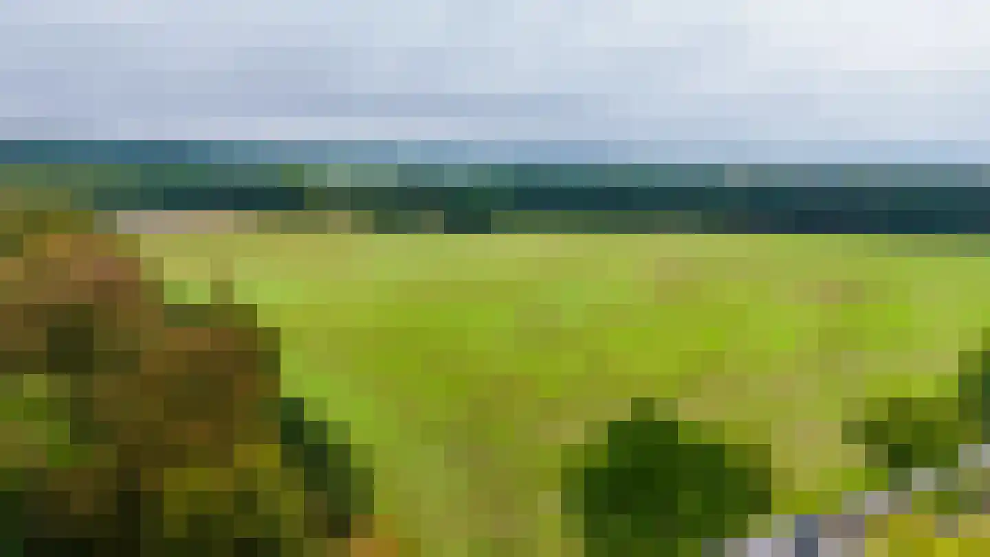 Molenweg 1 Elst Ut thumbnail 47