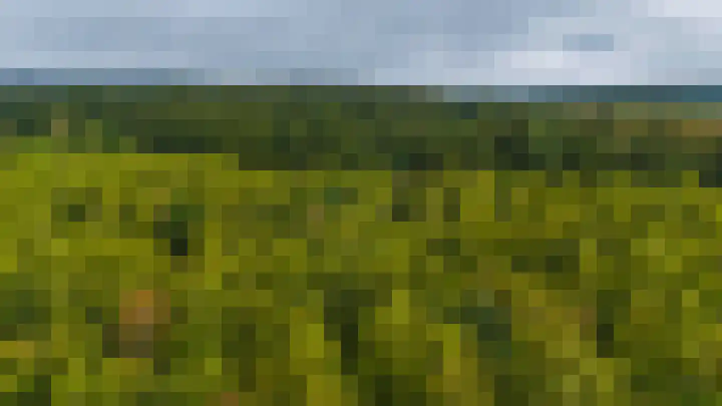 Molenweg 1 Elst Ut thumbnail 48