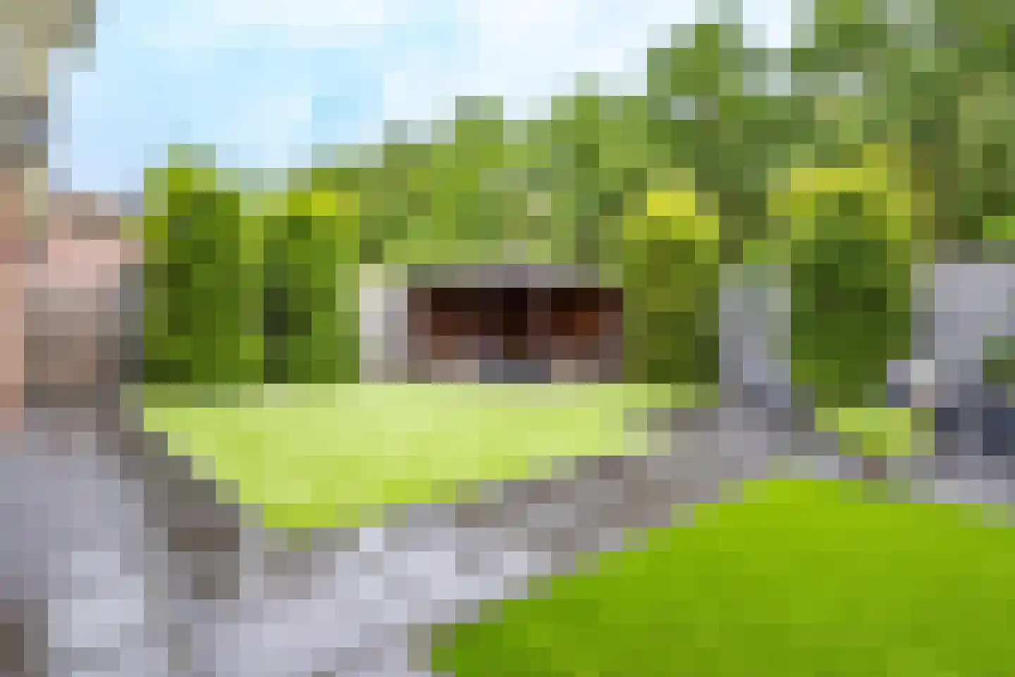 Molenweg 1 Elst Ut thumbnail 5