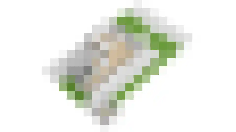 Molenweg 1 Elst Ut thumbnail 60