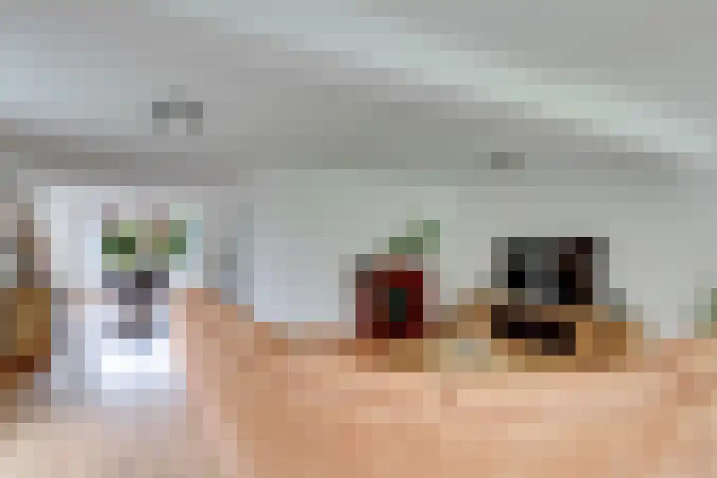 Molenweg 1 Elst Ut thumbnail 8