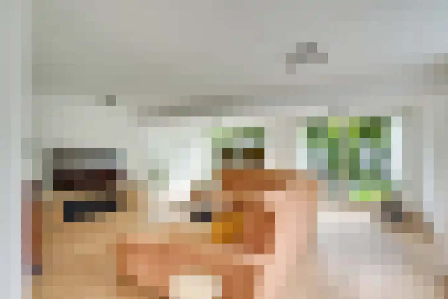 Molenweg 1 Elst Ut thumbnail 9