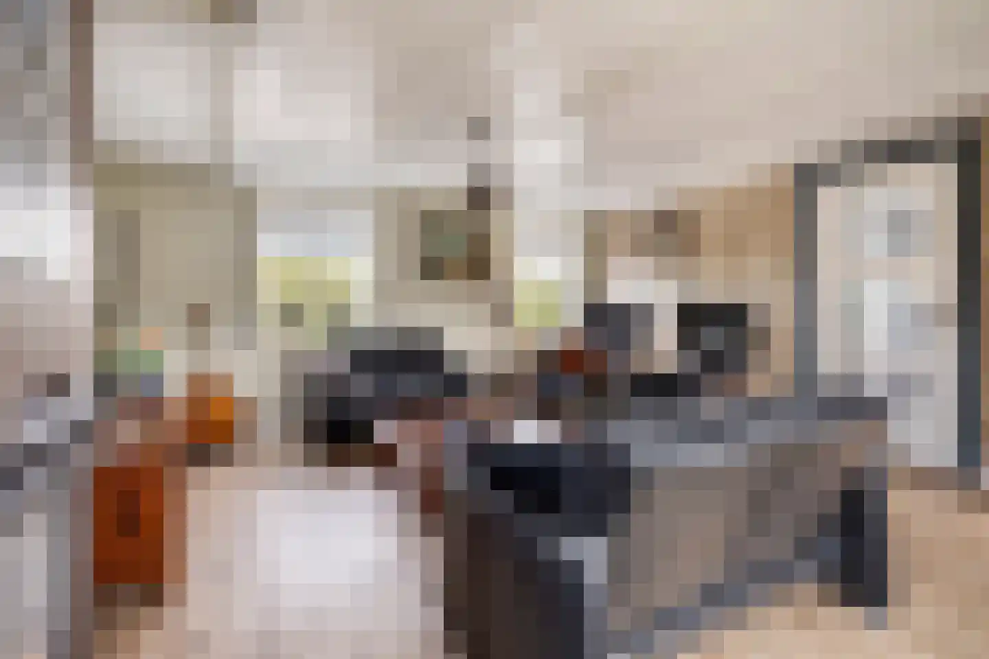 Molenweg 1 Nieuwvliet thumbnail 10