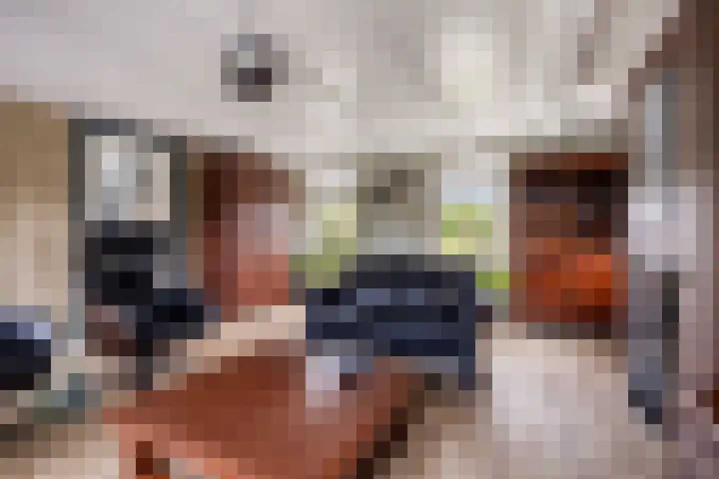 Molenweg 1 Nieuwvliet thumbnail 12