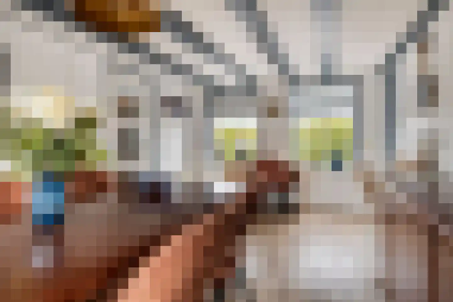 Molenweg 1 Nieuwvliet thumbnail 16