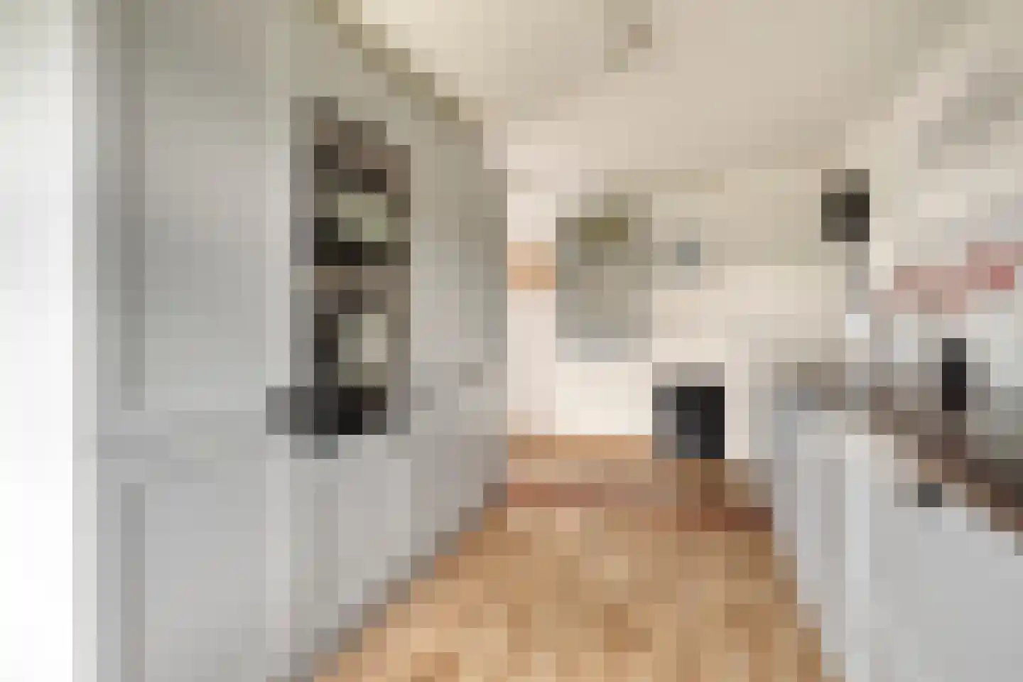 Molenweg 1 Nieuwvliet thumbnail 17