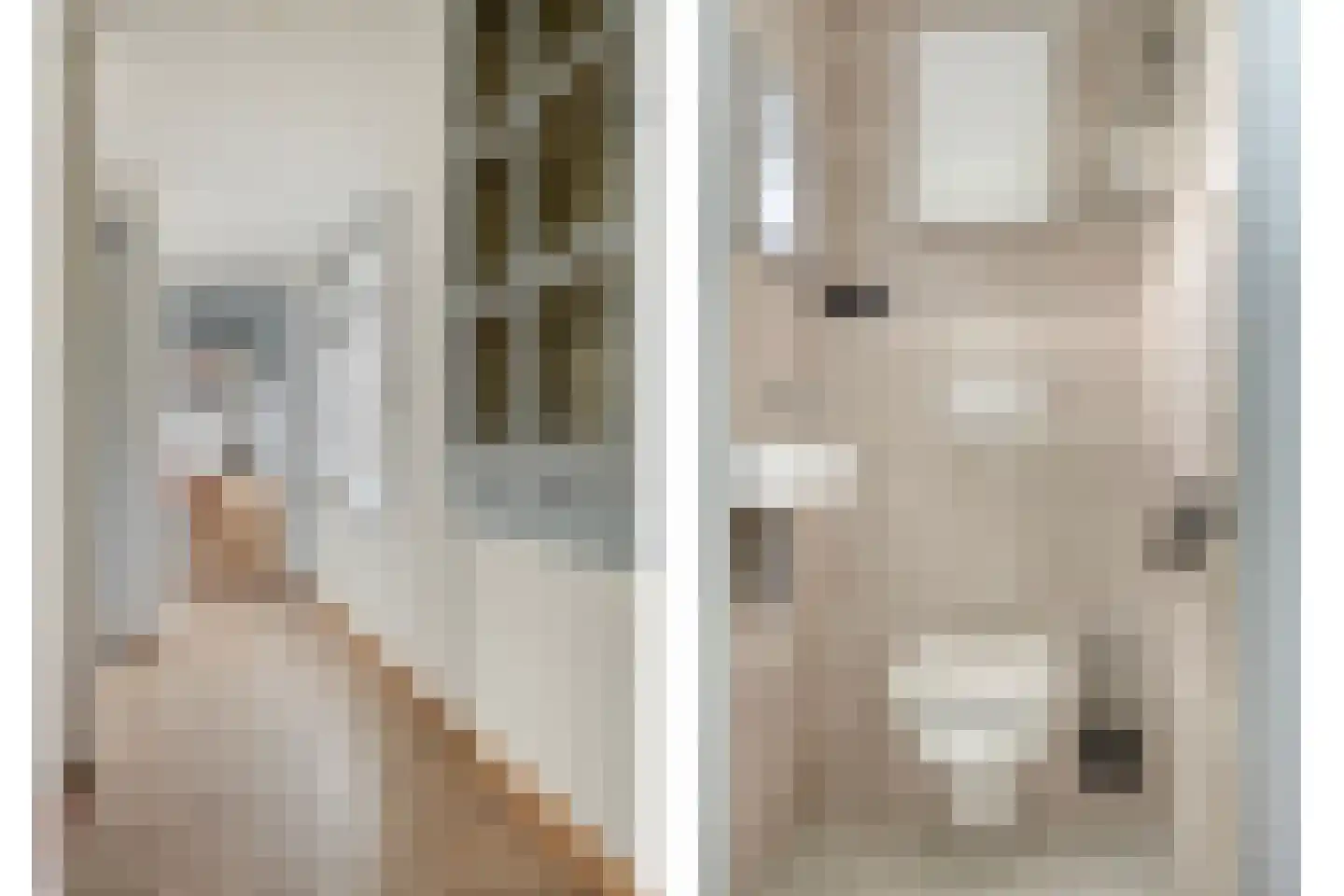 Molenweg 1 Nieuwvliet thumbnail 20