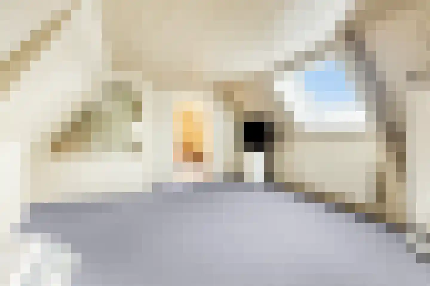 Molenweg 1 Nieuwvliet thumbnail 27