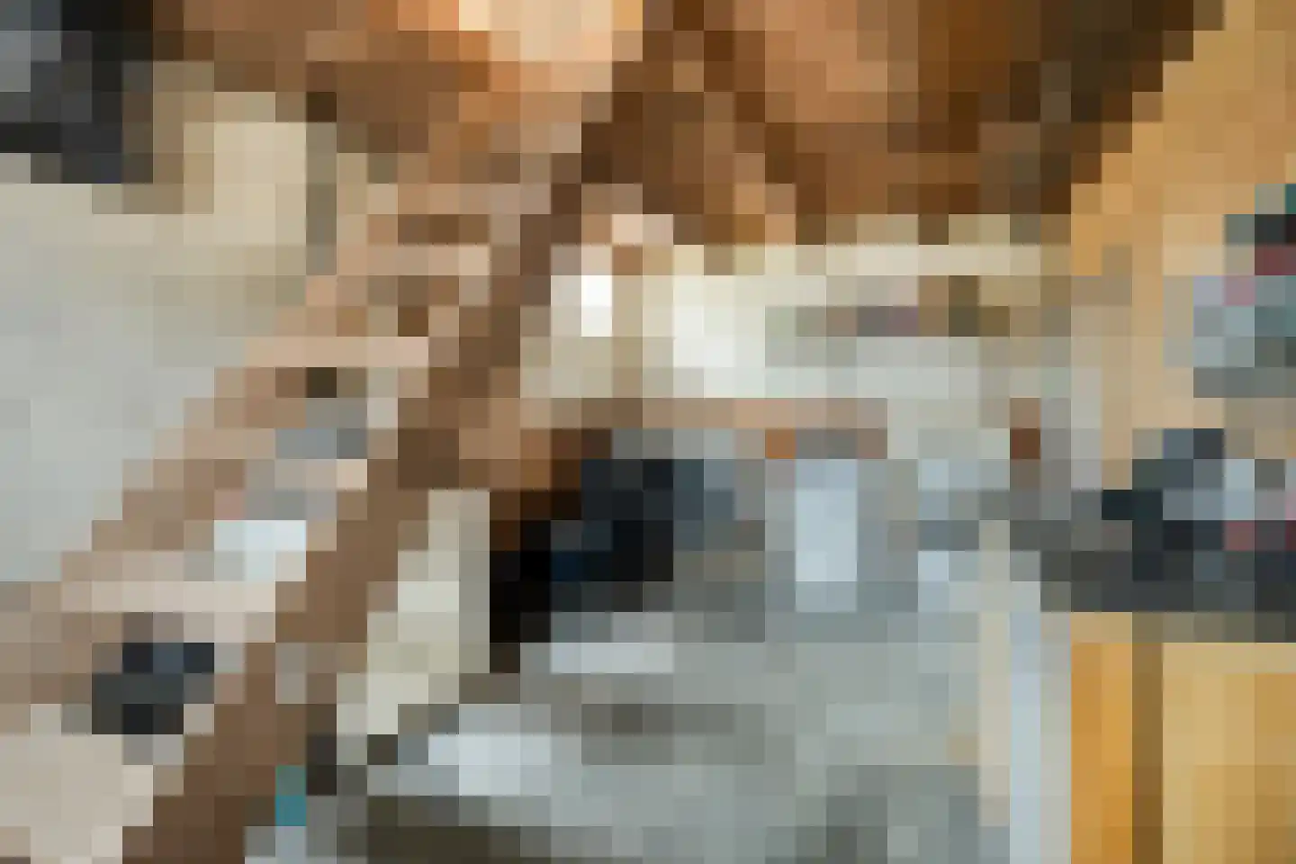 Molenweg 1 Nieuwvliet thumbnail 30