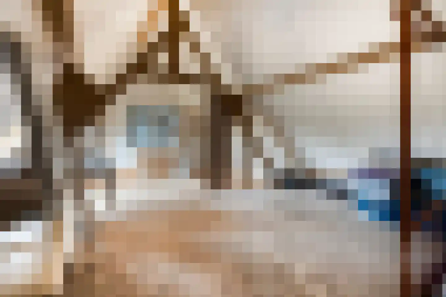 Molenweg 1 Nieuwvliet thumbnail 31