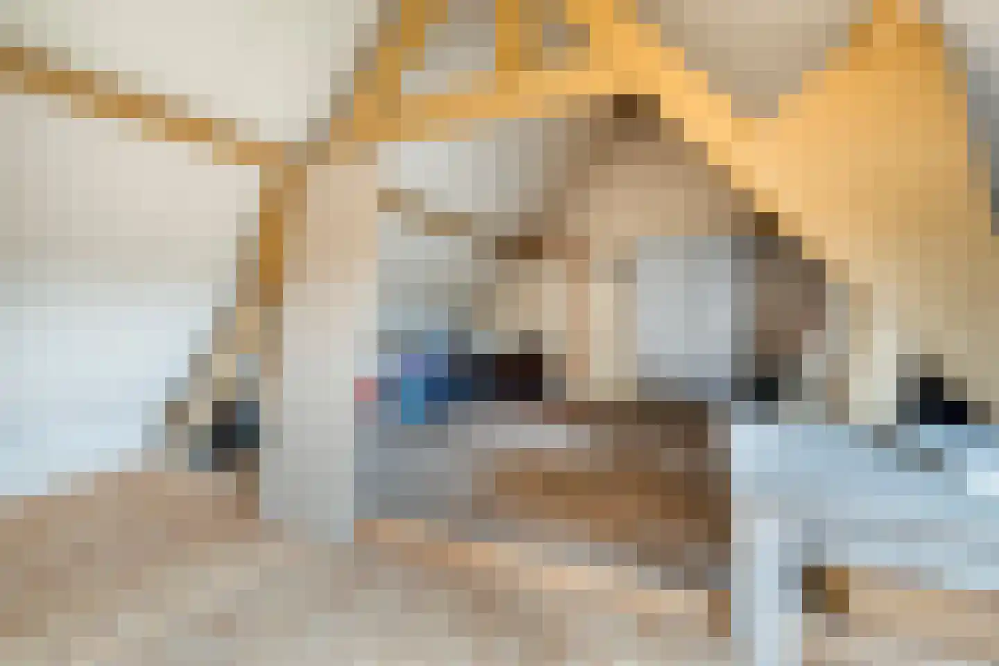 Molenweg 1 Nieuwvliet thumbnail 32