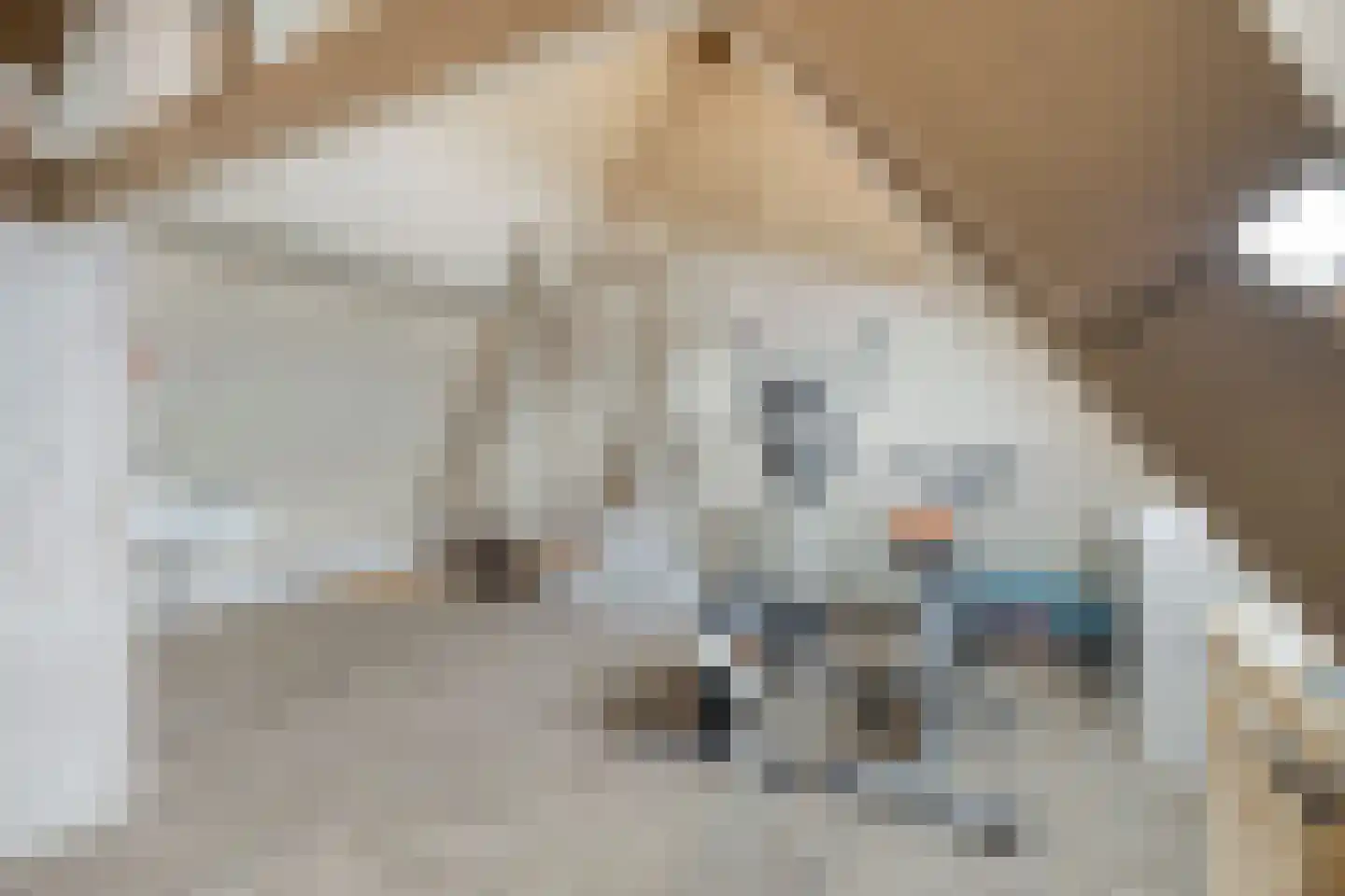 Molenweg 1 Nieuwvliet thumbnail 33