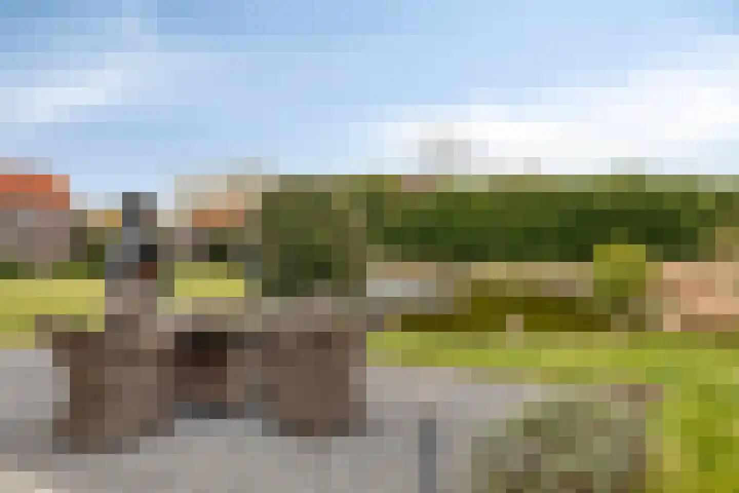 Molenweg 1 Nieuwvliet thumbnail 35