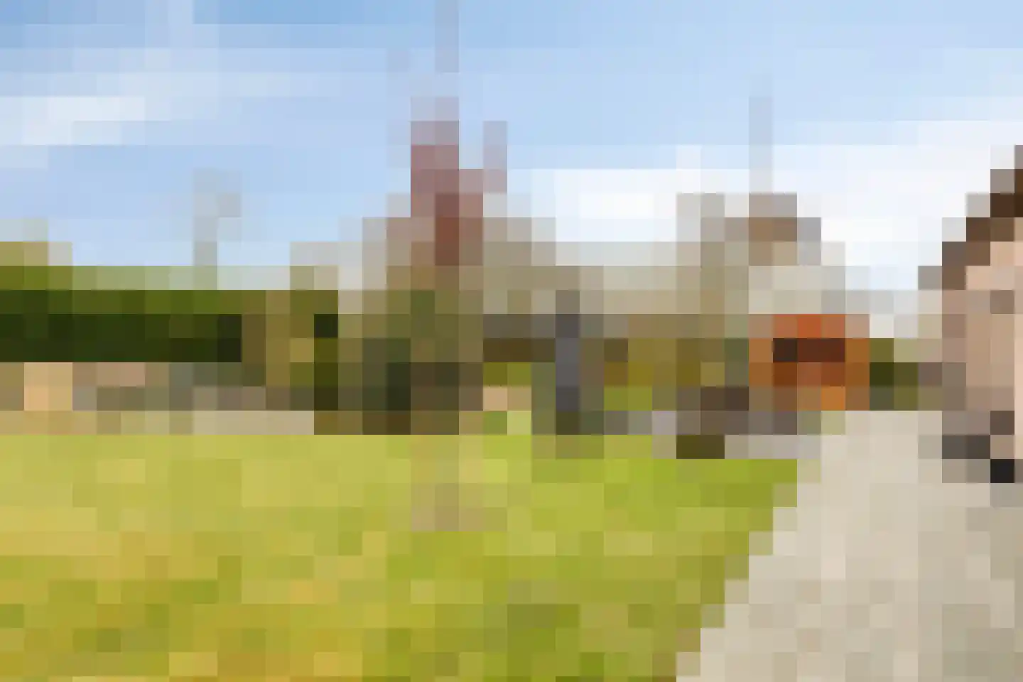 Molenweg 1 Nieuwvliet thumbnail 36
