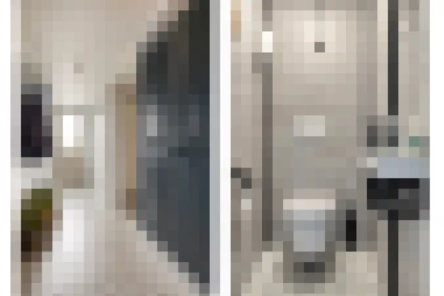 Molenweg 1 Nieuwvliet thumbnail 9
