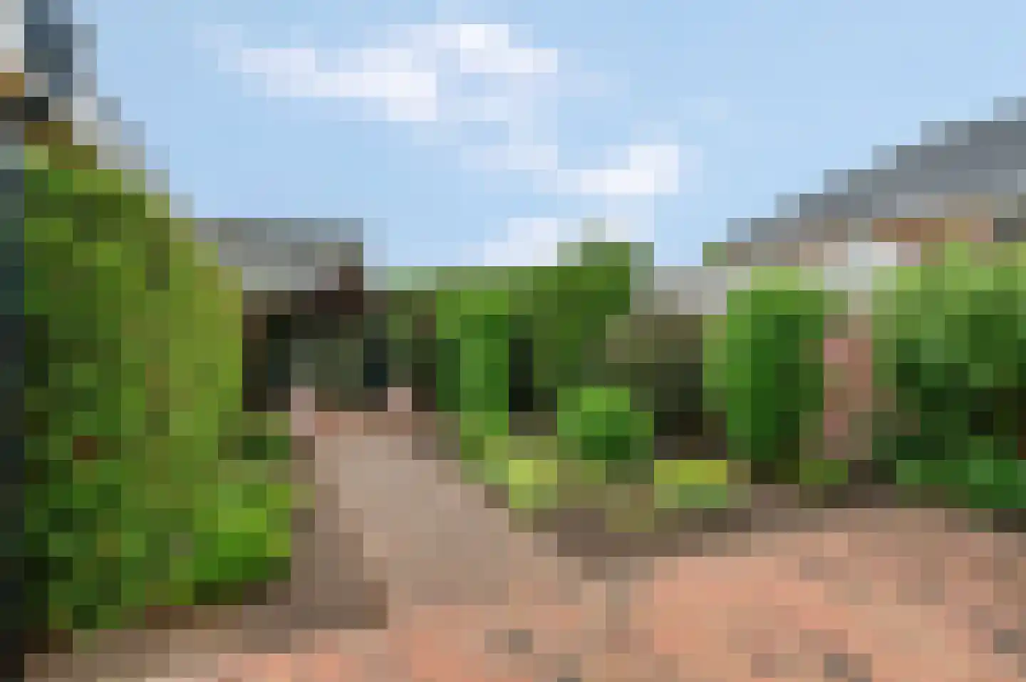 Molenweg 10 A Rhenen thumbnail 30