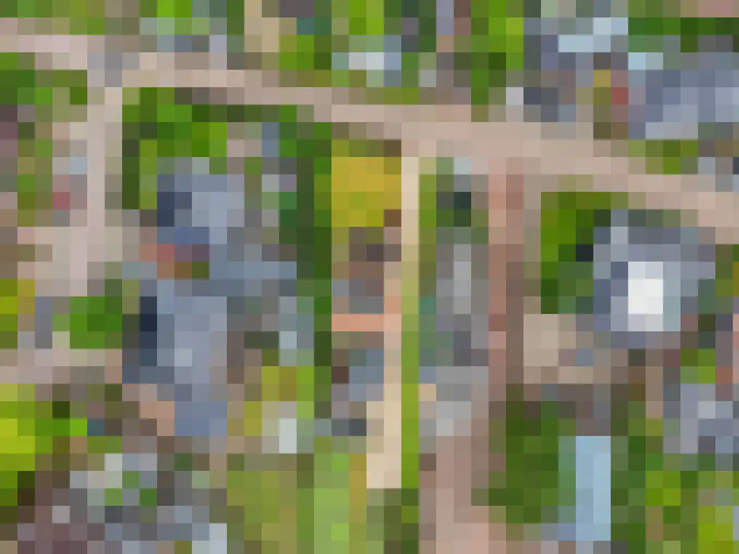 Molenweg 10 A Rhenen thumbnail 36