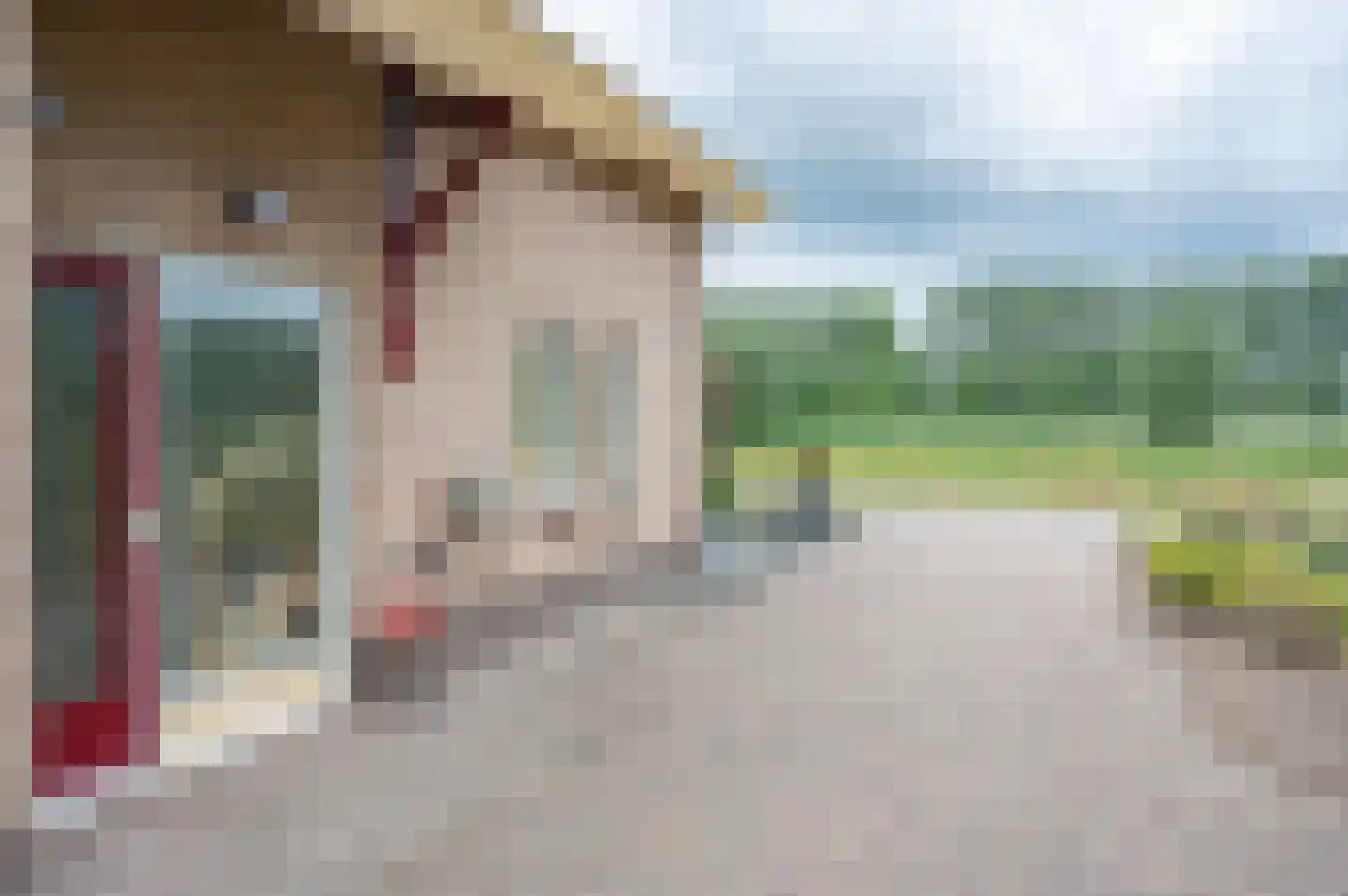 Molenweg 10 Baak thumbnail 12