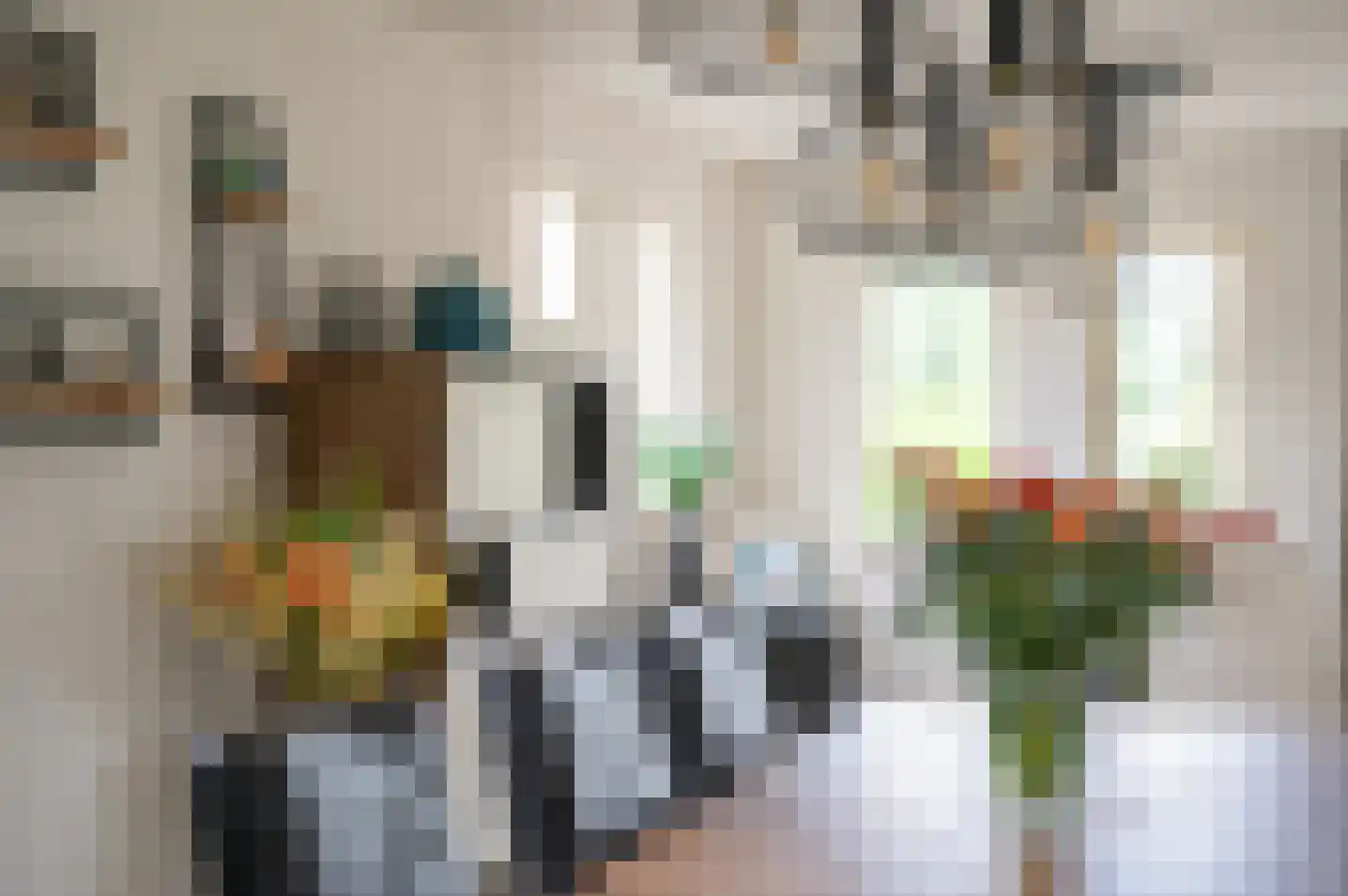 Molenweg 10 Baak thumbnail 18