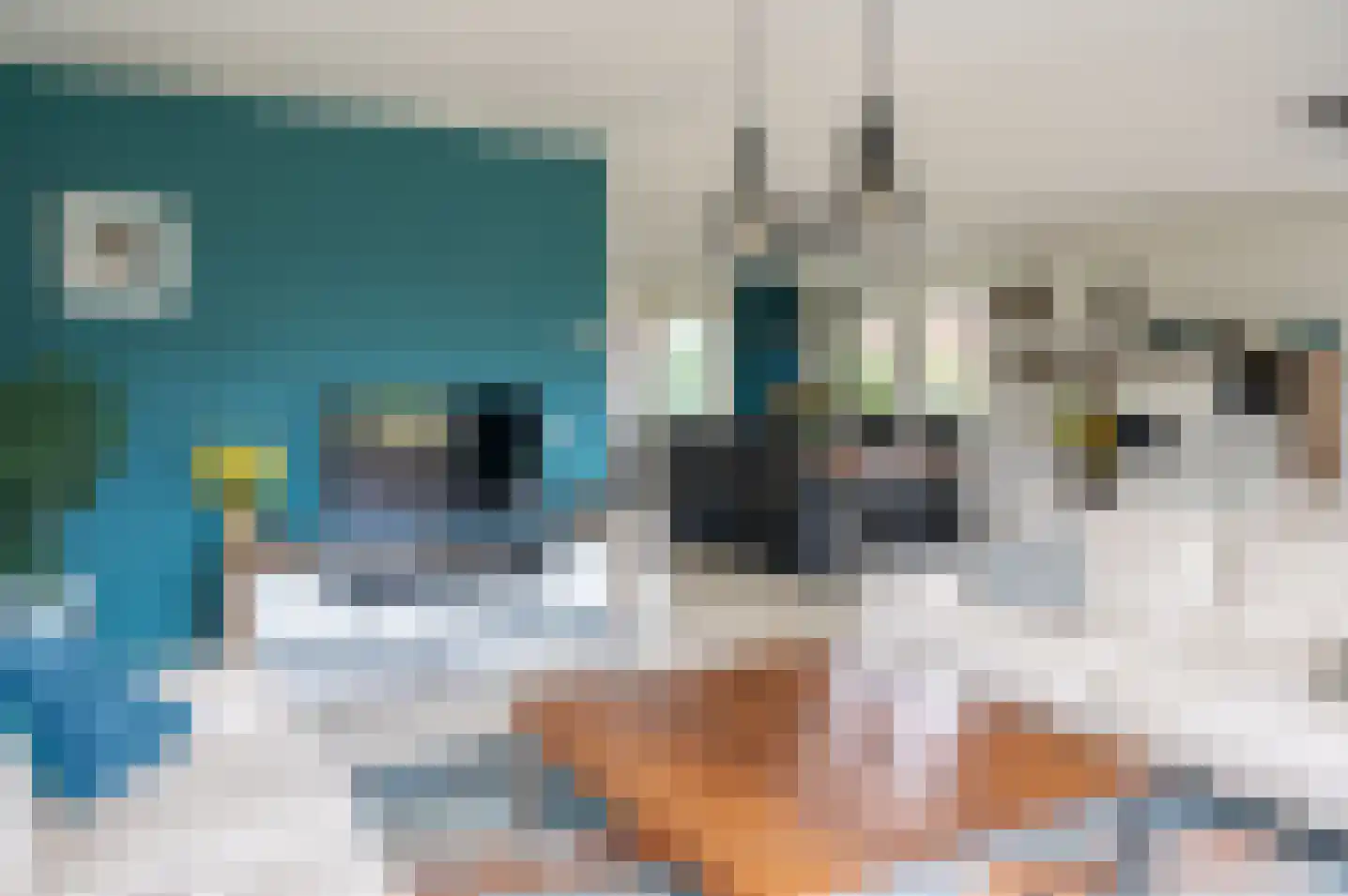 Molenweg 10 Baak thumbnail 22