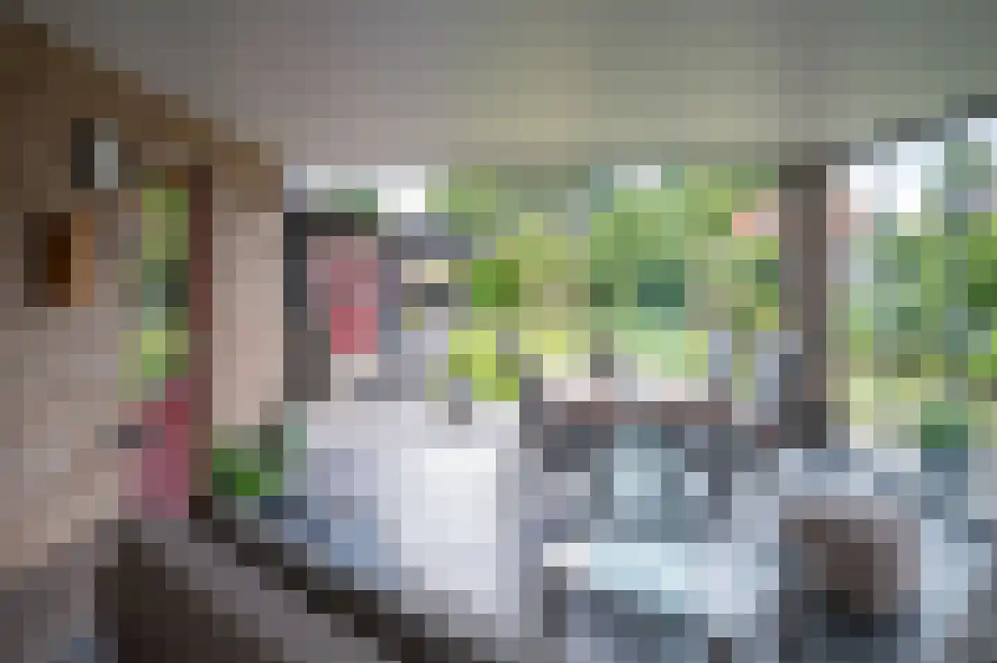 Molenweg 10 Baak thumbnail 32