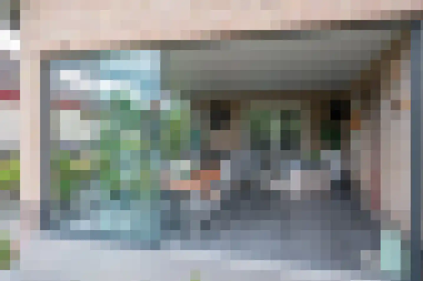 Molenweg 10 Baak thumbnail 33