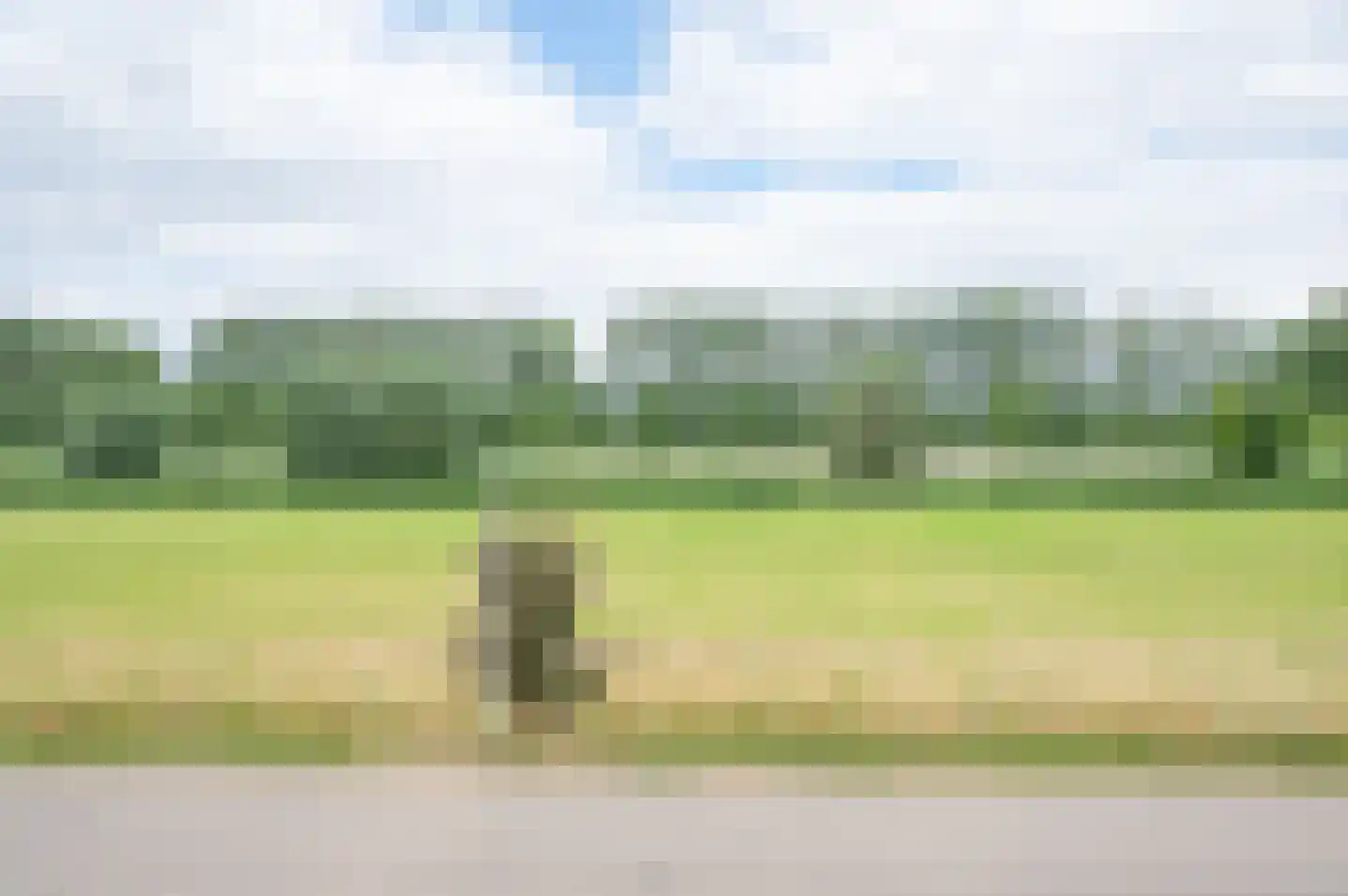 Molenweg 10 Baak thumbnail 36