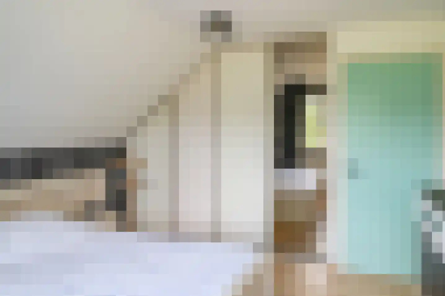 Molenweg 10 Baak thumbnail 37