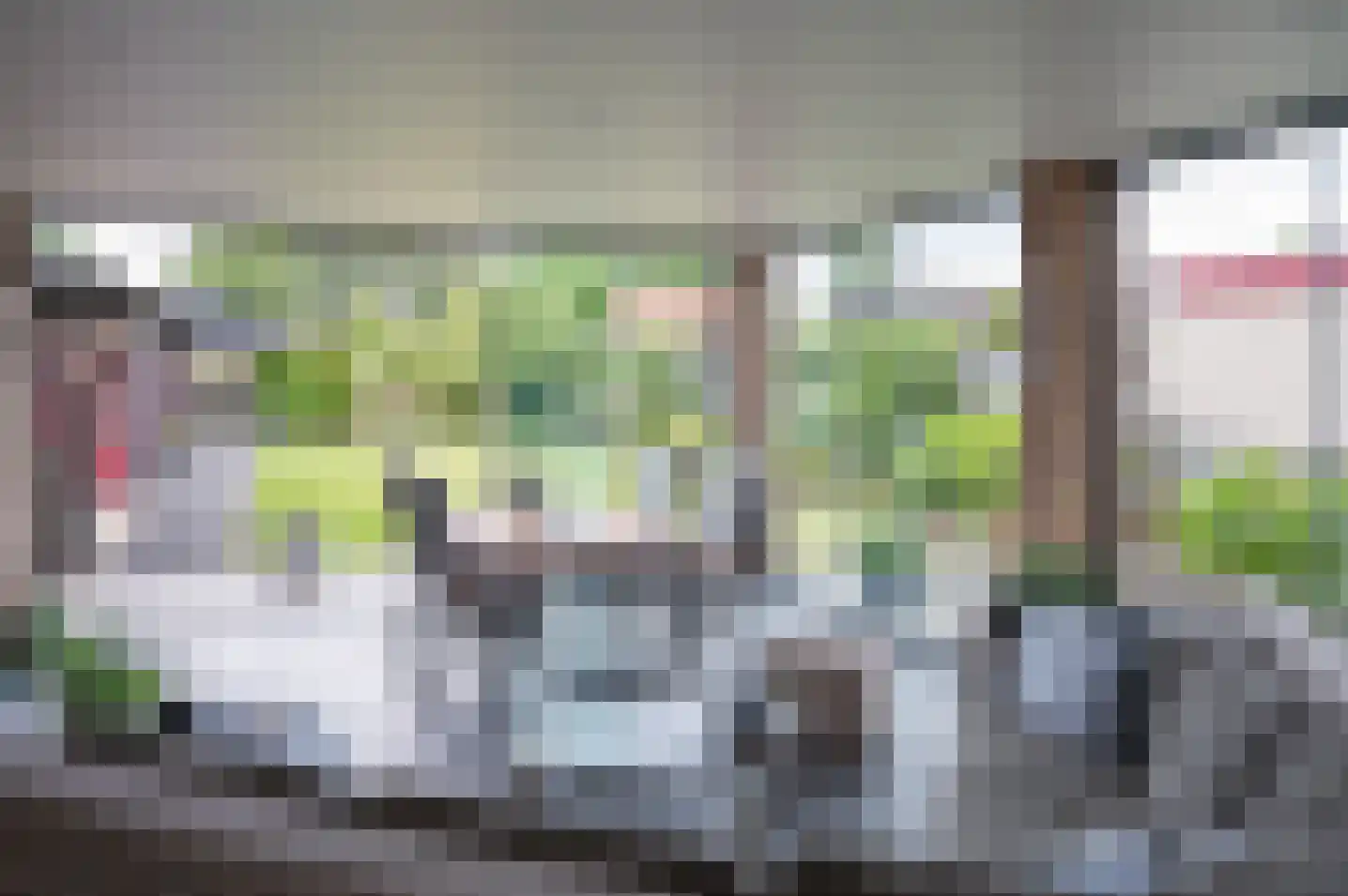 Molenweg 10 Baak thumbnail 4