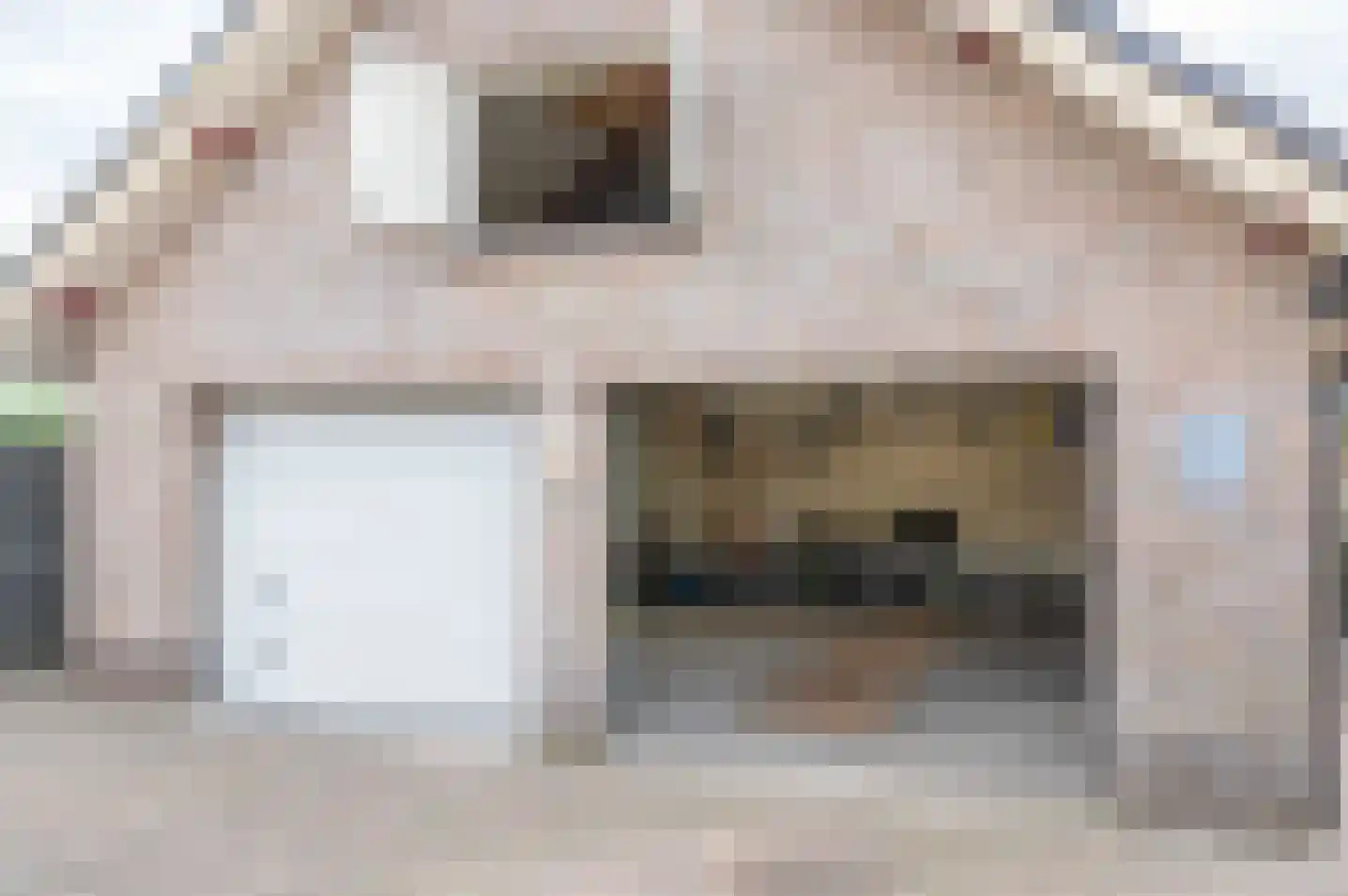 Molenweg 10 Baak thumbnail 5