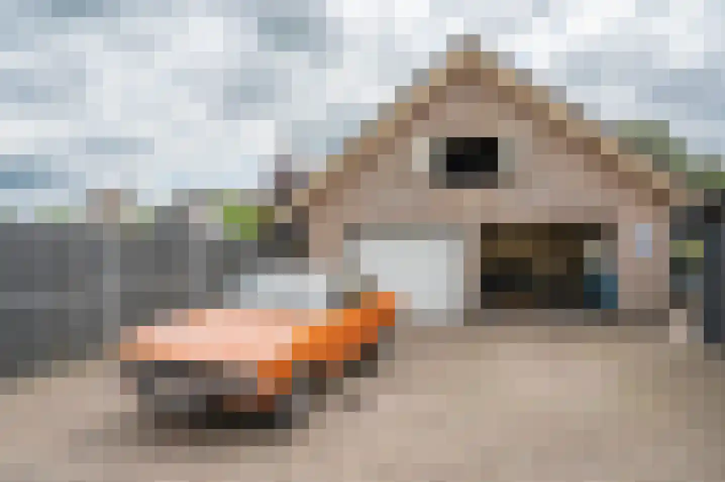Molenweg 10 Baak thumbnail 52