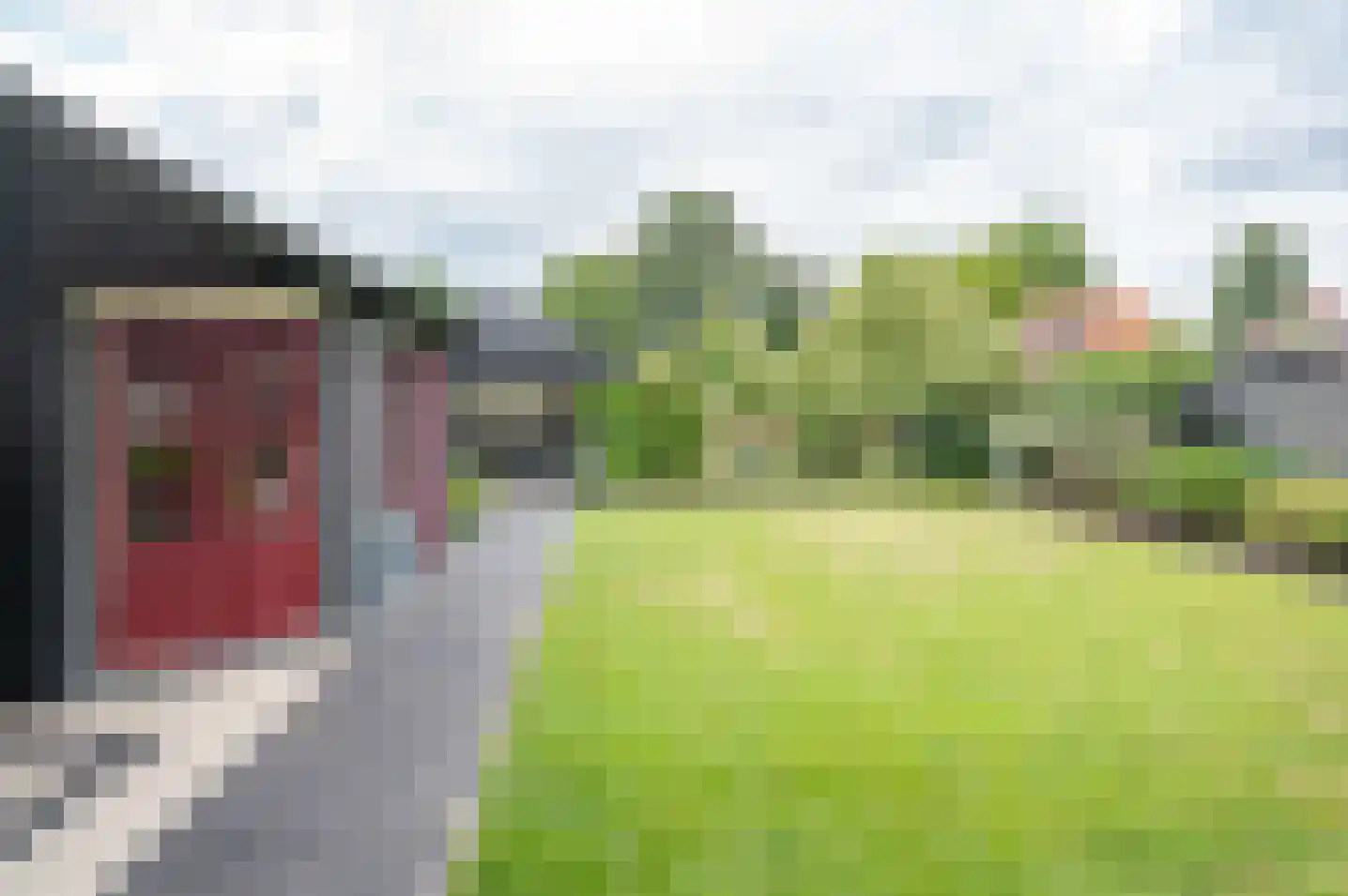 Molenweg 10 Baak thumbnail 60