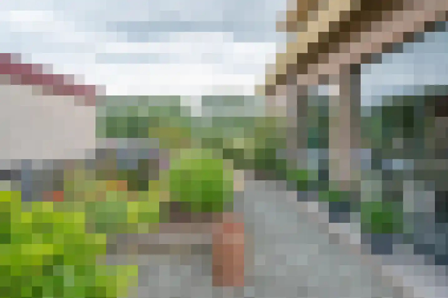 Molenweg 10 Baak thumbnail 66