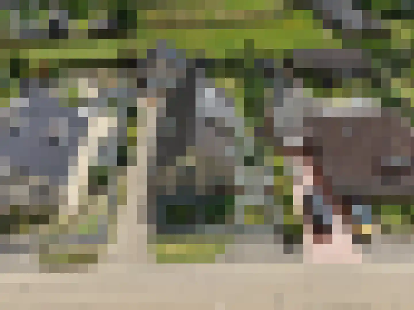 Molenweg 10 Baak thumbnail 70