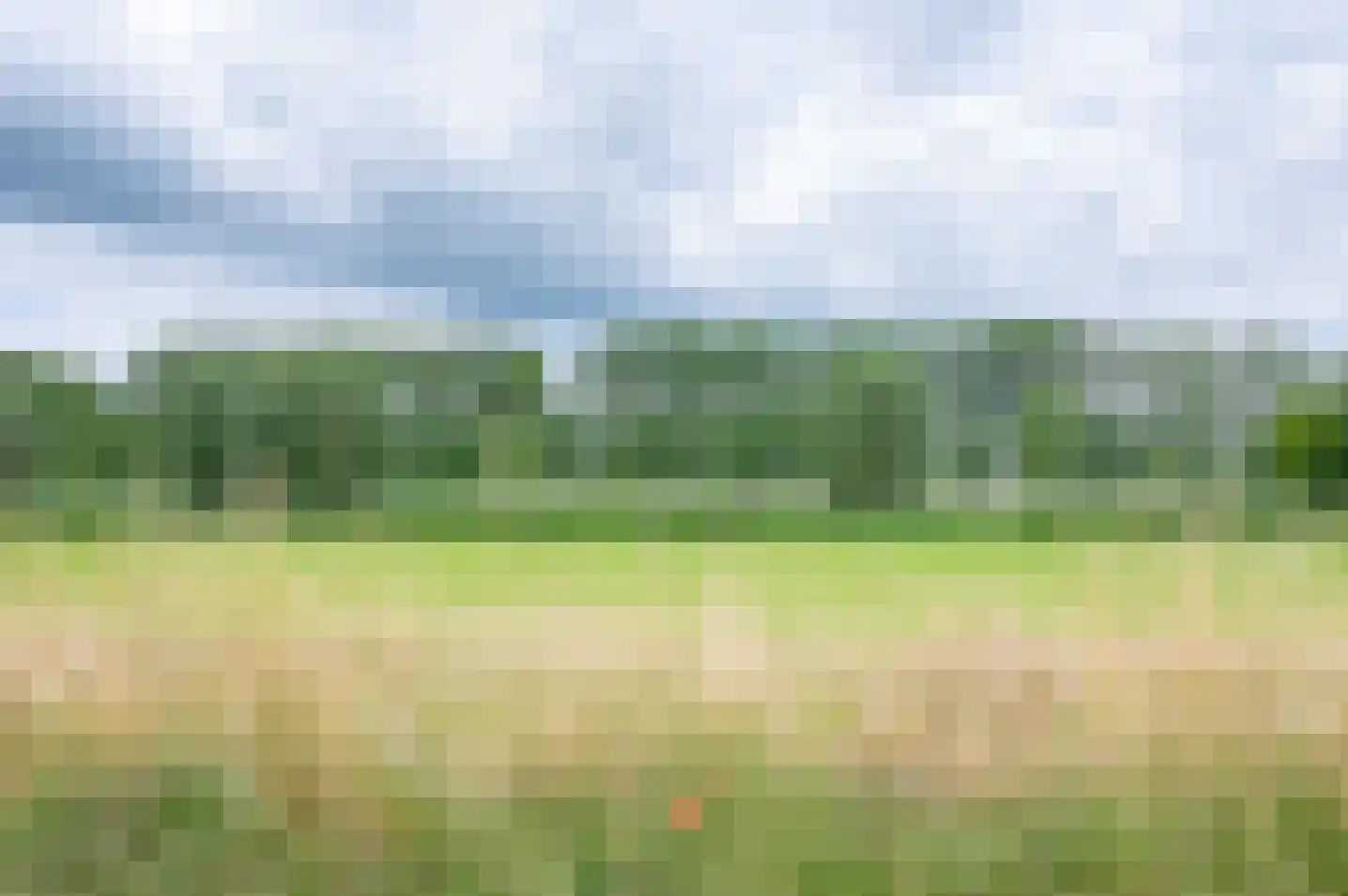 Molenweg 10 Baak thumbnail 9