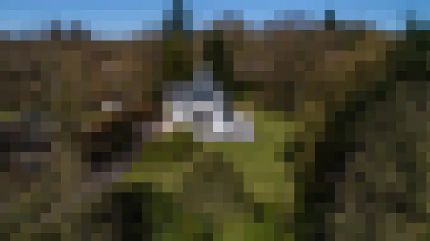 Molenweg 10 Lunteren thumbnail 51