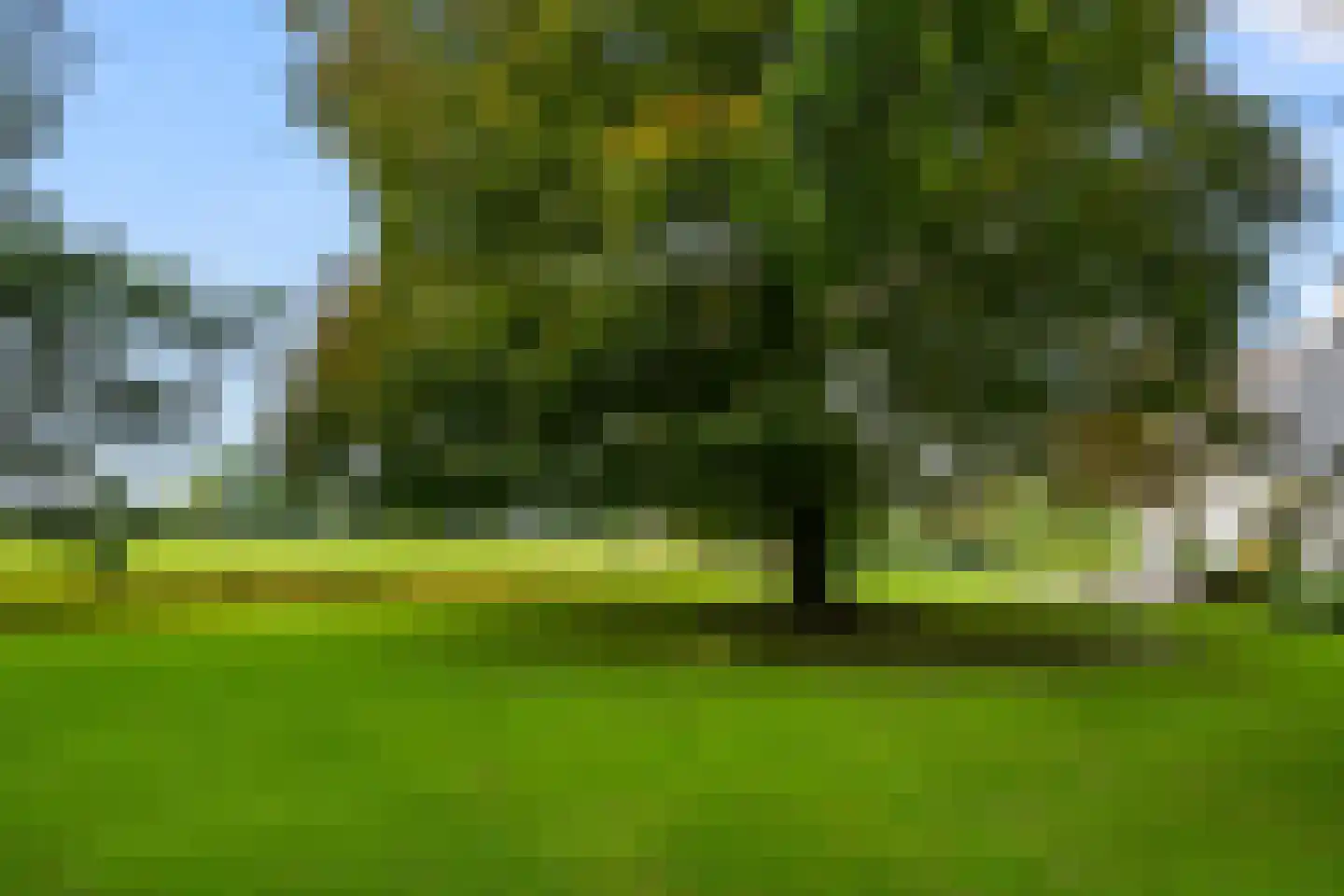 Molenweg 10 Lunteren thumbnail 53