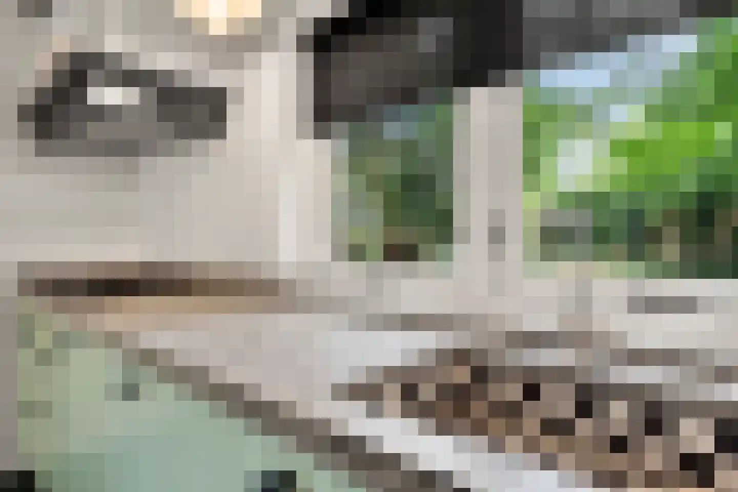 Molenweg 10 Lunteren thumbnail 61