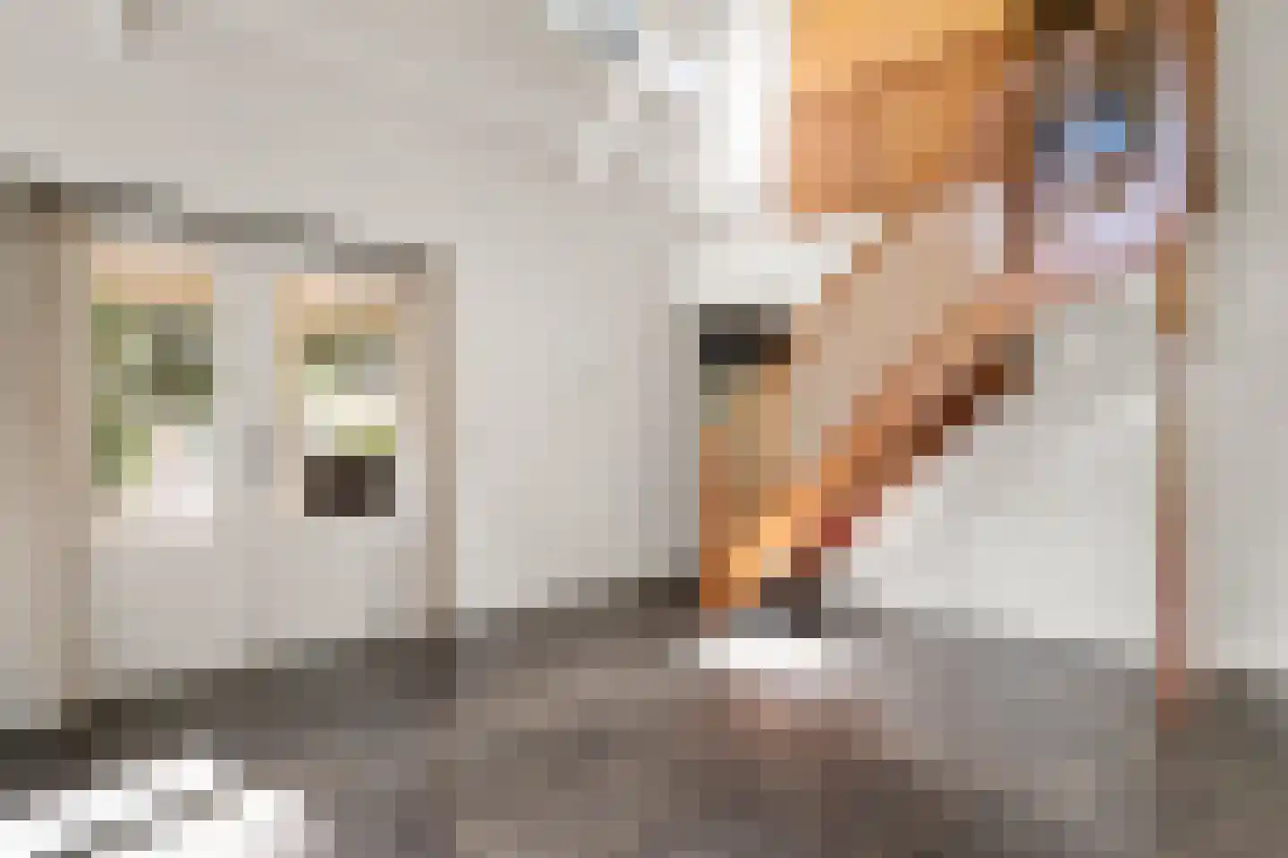 Molenweg 10 Lunteren thumbnail 64