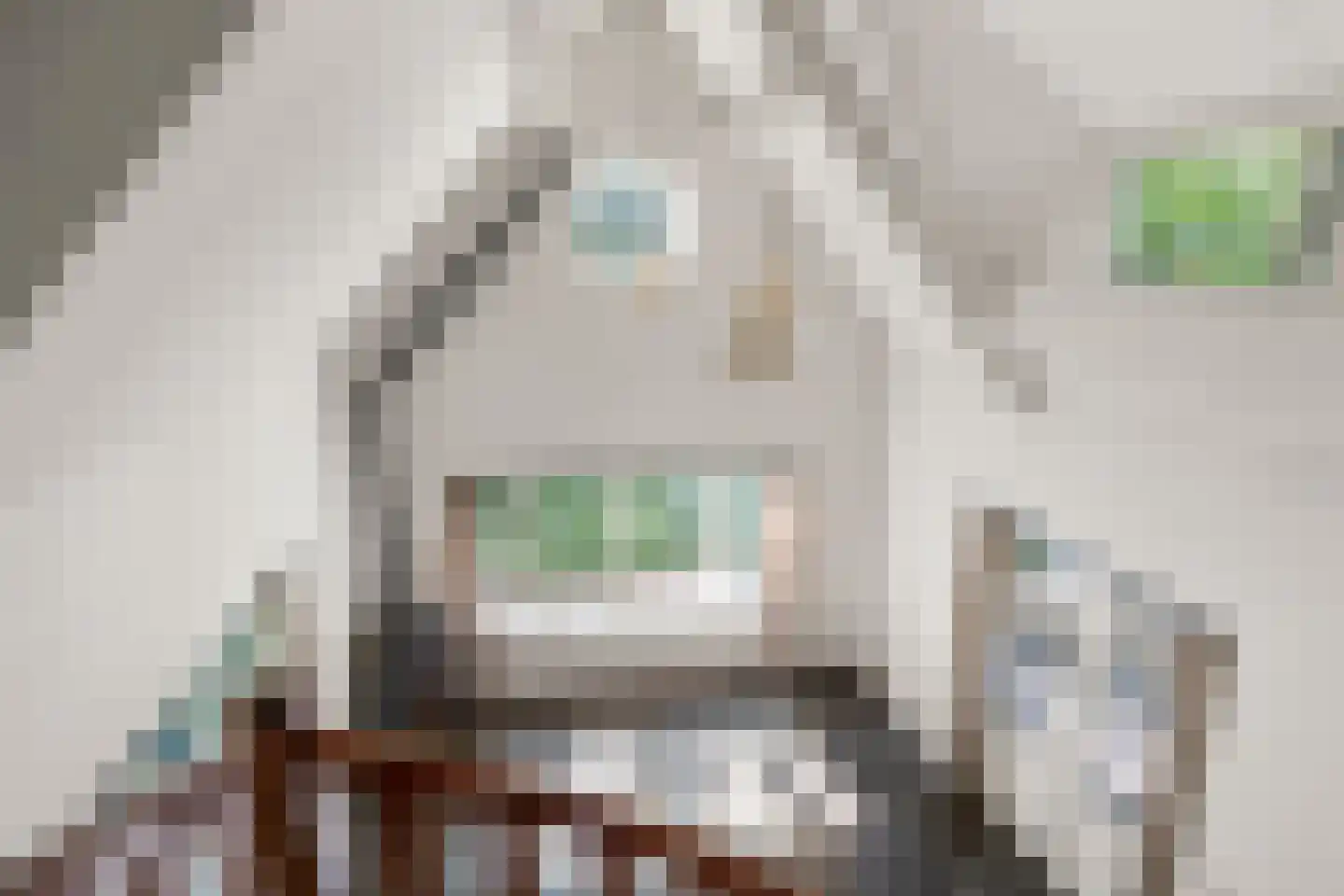 Molenweg 10 Lunteren thumbnail 67