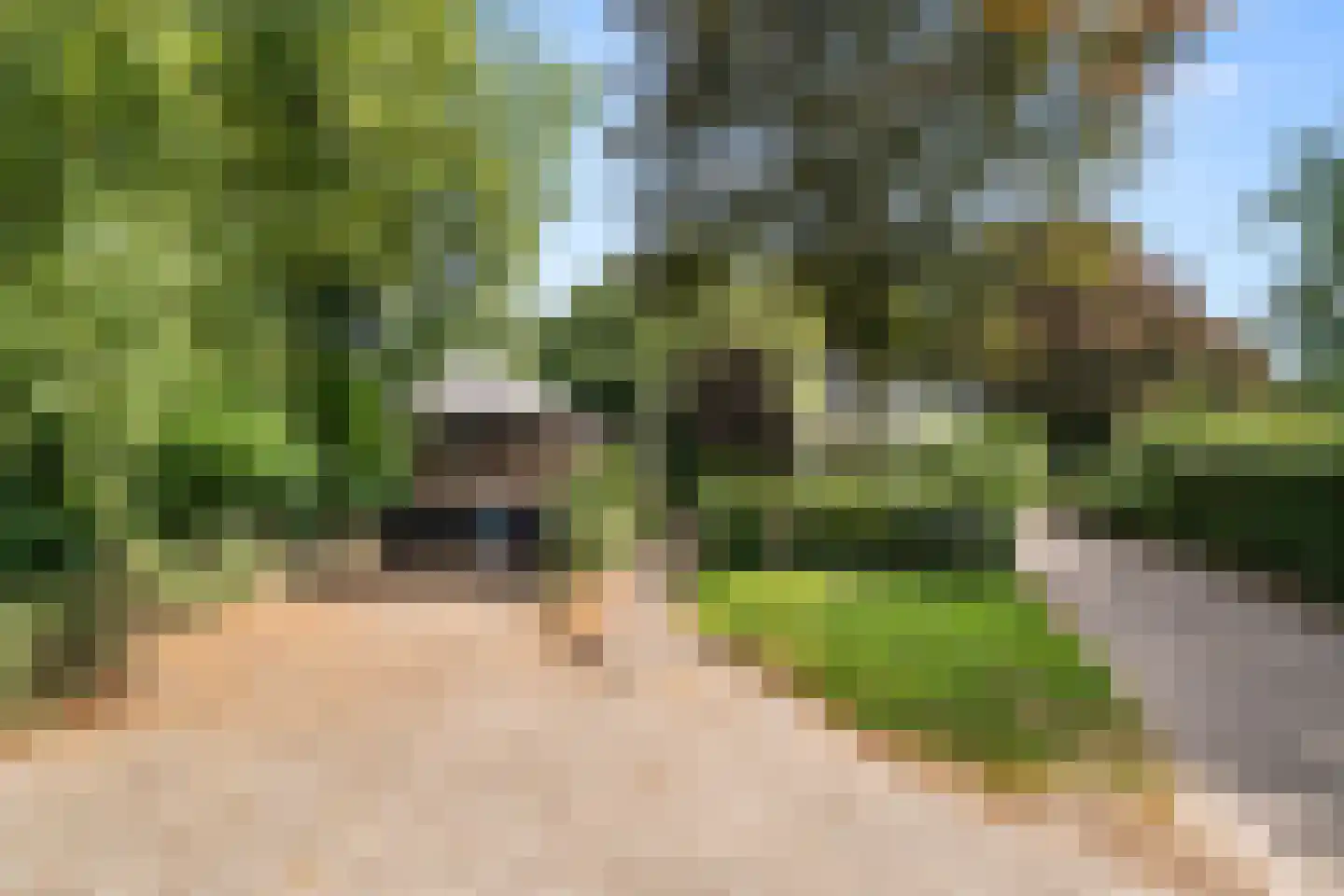 Molenweg 10 Lunteren thumbnail 69