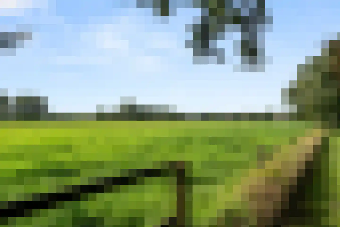 Molenweg 10 Lunteren thumbnail 74