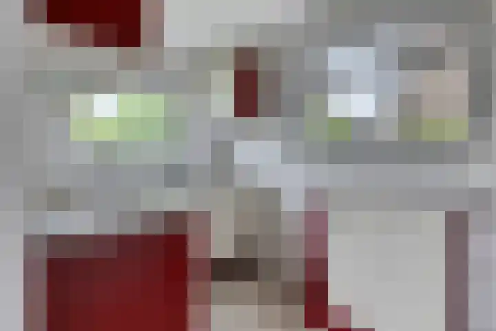 Molenweg 10 Oosterland thumbnail 11