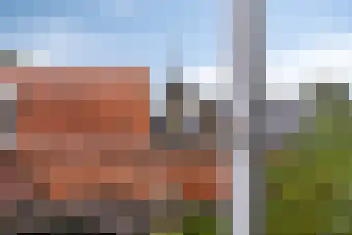 Molenweg 10 Oosterland thumbnail 16