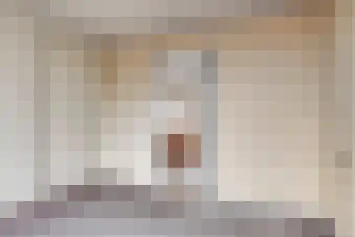 Molenweg 10 Oosterland thumbnail 17
