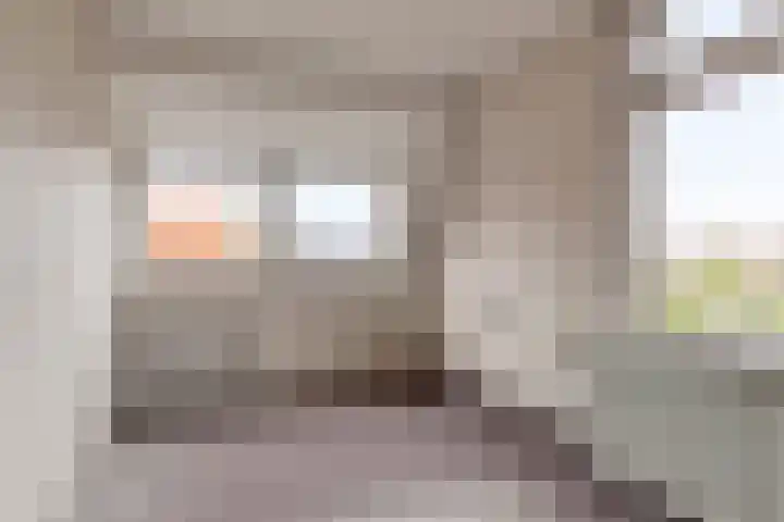 Molenweg 10 Oosterland thumbnail 19