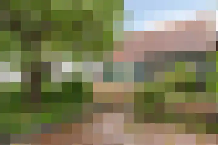 Molenweg 10 Oosterland thumbnail 28