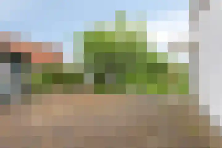 Molenweg 10 Oosterland thumbnail 32