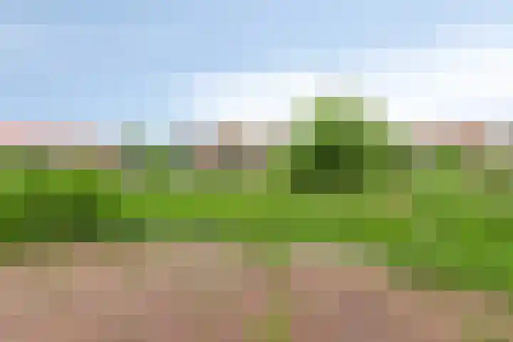 Molenweg 10 Oosterland thumbnail 33